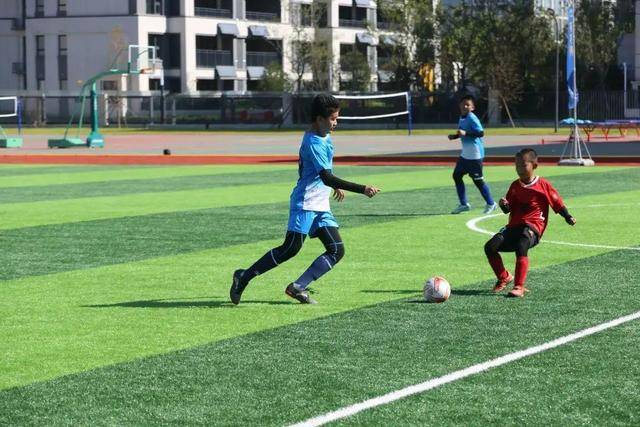 王晗:很多战术为麦克勒莫准备 希望他尽快注册